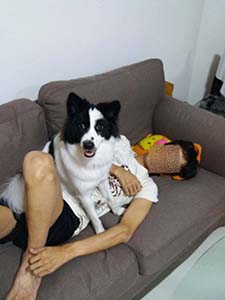 NbNĊg