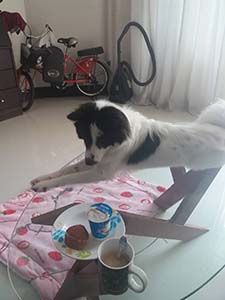 NbNĊg