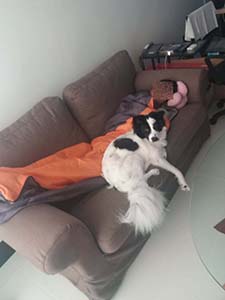 NbNĊg