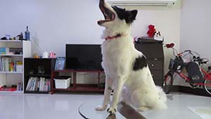 NbNĊg