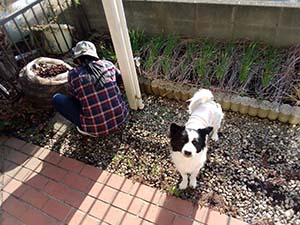 クリックして拡大