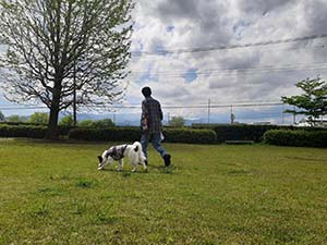 クリックして拡大