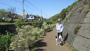 クリックして拡大
