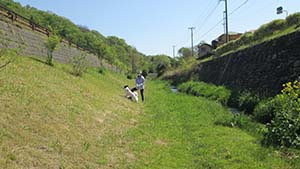 クリックして拡大