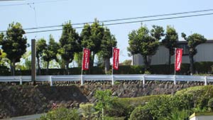 クリックして拡大