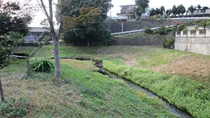 クリックして拡大