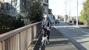 クリックして拡大