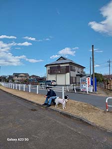 クリックして拡大