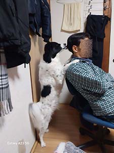 クリックして拡大