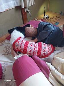 クリックして拡大