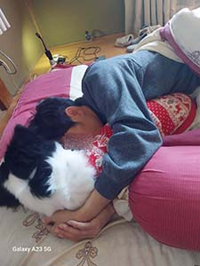 クリックして拡大