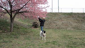 クリックして拡大