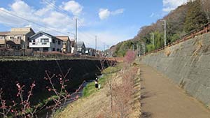 クリックして拡大