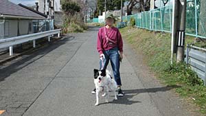 クリックして拡大