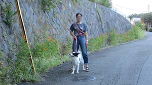 クリックして拡大