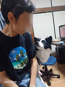 クリックして拡大