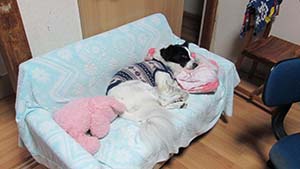 クリックして拡大