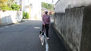 クリックして拡大