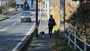 クリックして拡大