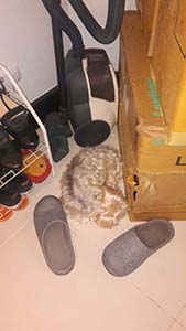 NbNĊg