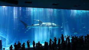 �N���b�N���Ċg��