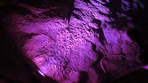 �N���b�N���Ċg��