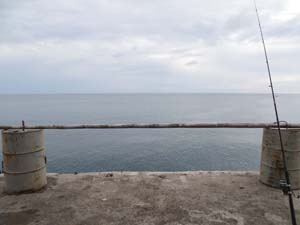 NbNĊg