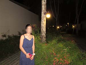NbNĊg