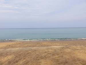 NbNĊg