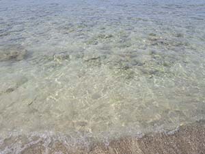 NbNĊg