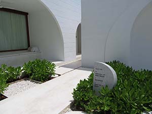 NbNĊg