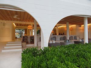 NbNĊg