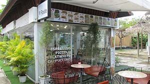 NbNĊg