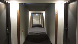 NbNĊg
