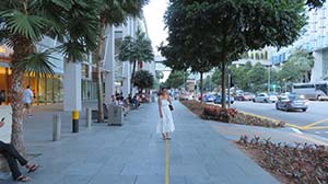 NbNĊg