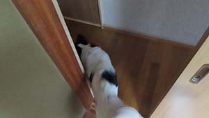 クリックして拡大