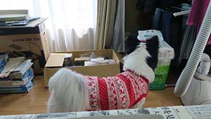 �N���b�N���Ċg��