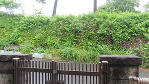 �N���b�N���Ċg��