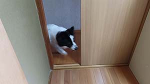 �N���b�N���Ċg��