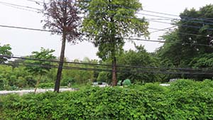 �N���b�N���Ċg��