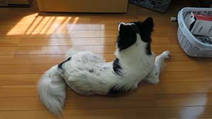 �N���b�N���Ċg��