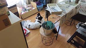 �N���b�N���Ċg��