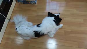 �N���b�N���Ċg��