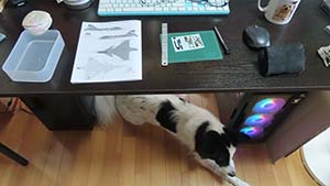 �N���b�N���Ċg��