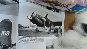 �N���b�N���Ċg��