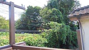 �N���b�N���Ċg��