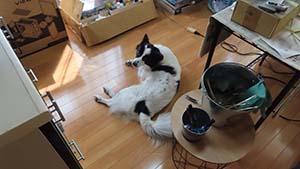 �N���b�N���Ċg��